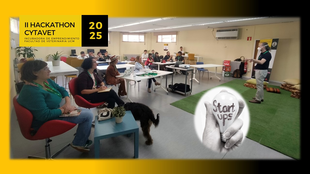 II Hackaton CyTAVET